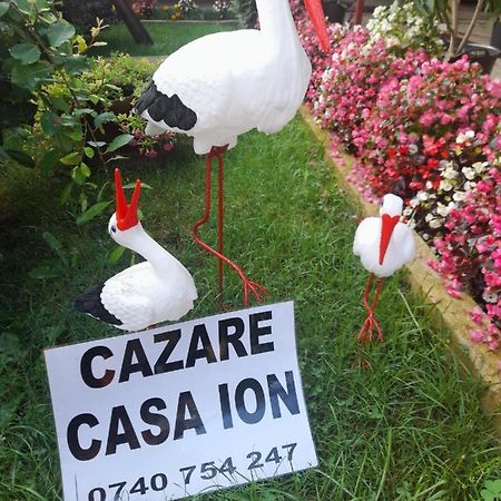Casa Ion Apartment Horezu Exterior photo