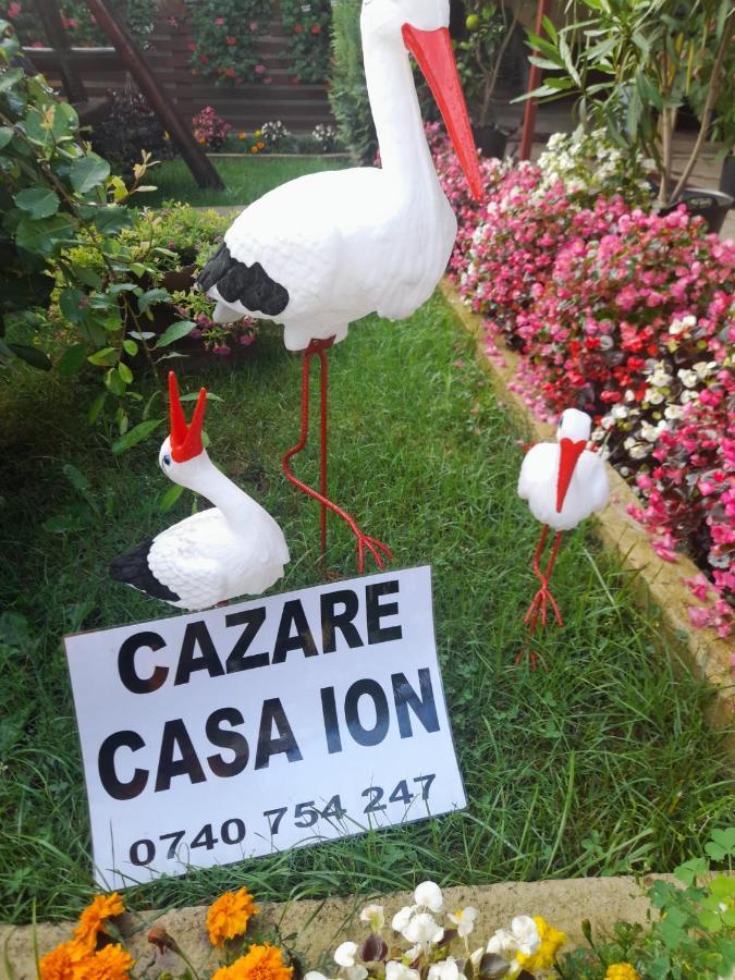Casa Ion Apartment Horezu Exterior photo