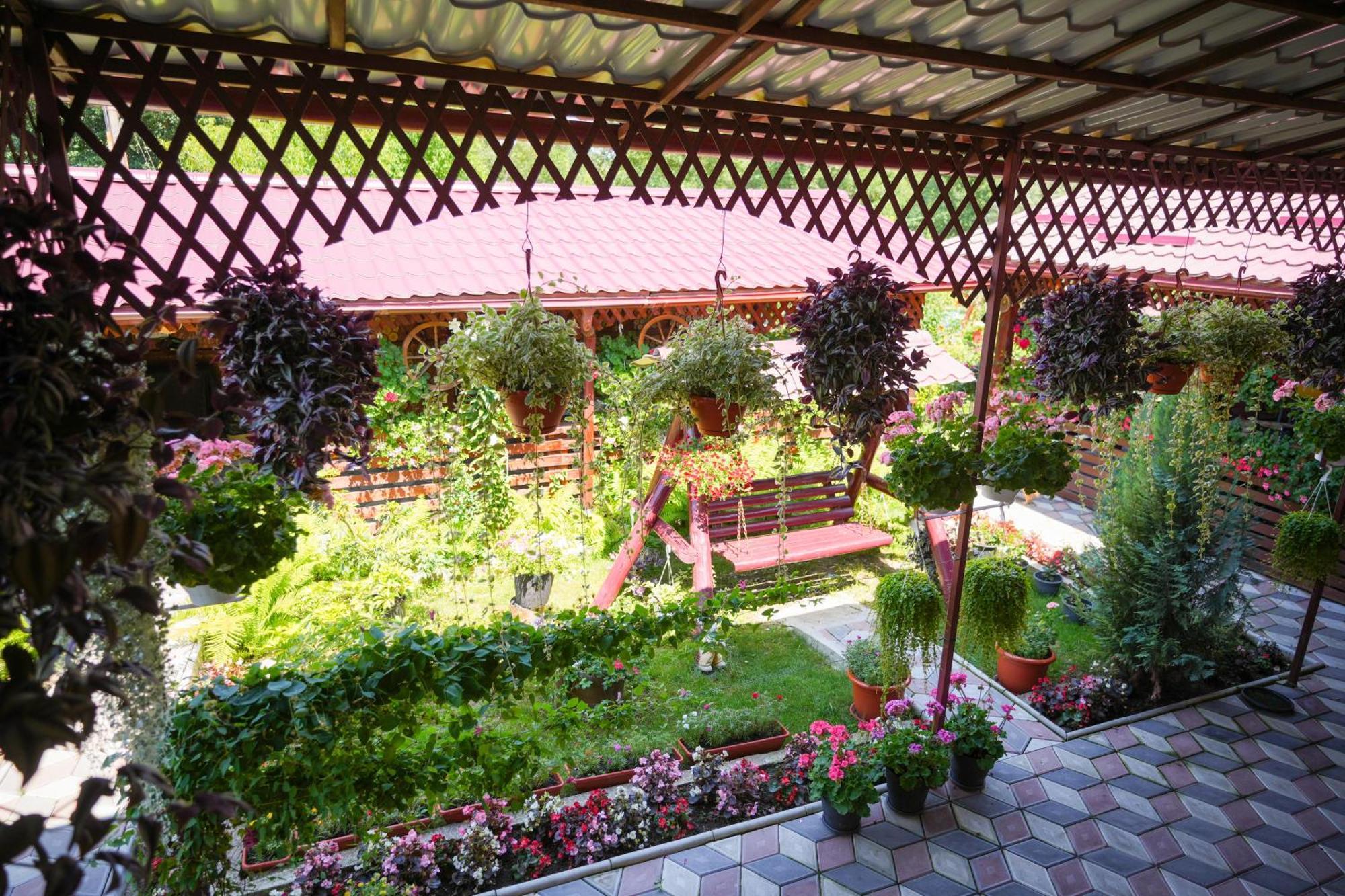 Casa Ion Apartment Horezu Exterior photo