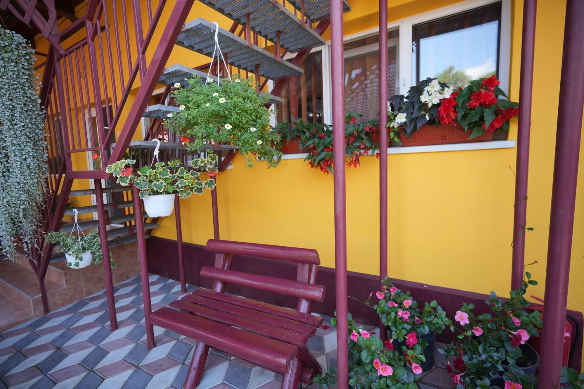 Casa Ion Apartment Horezu Exterior photo