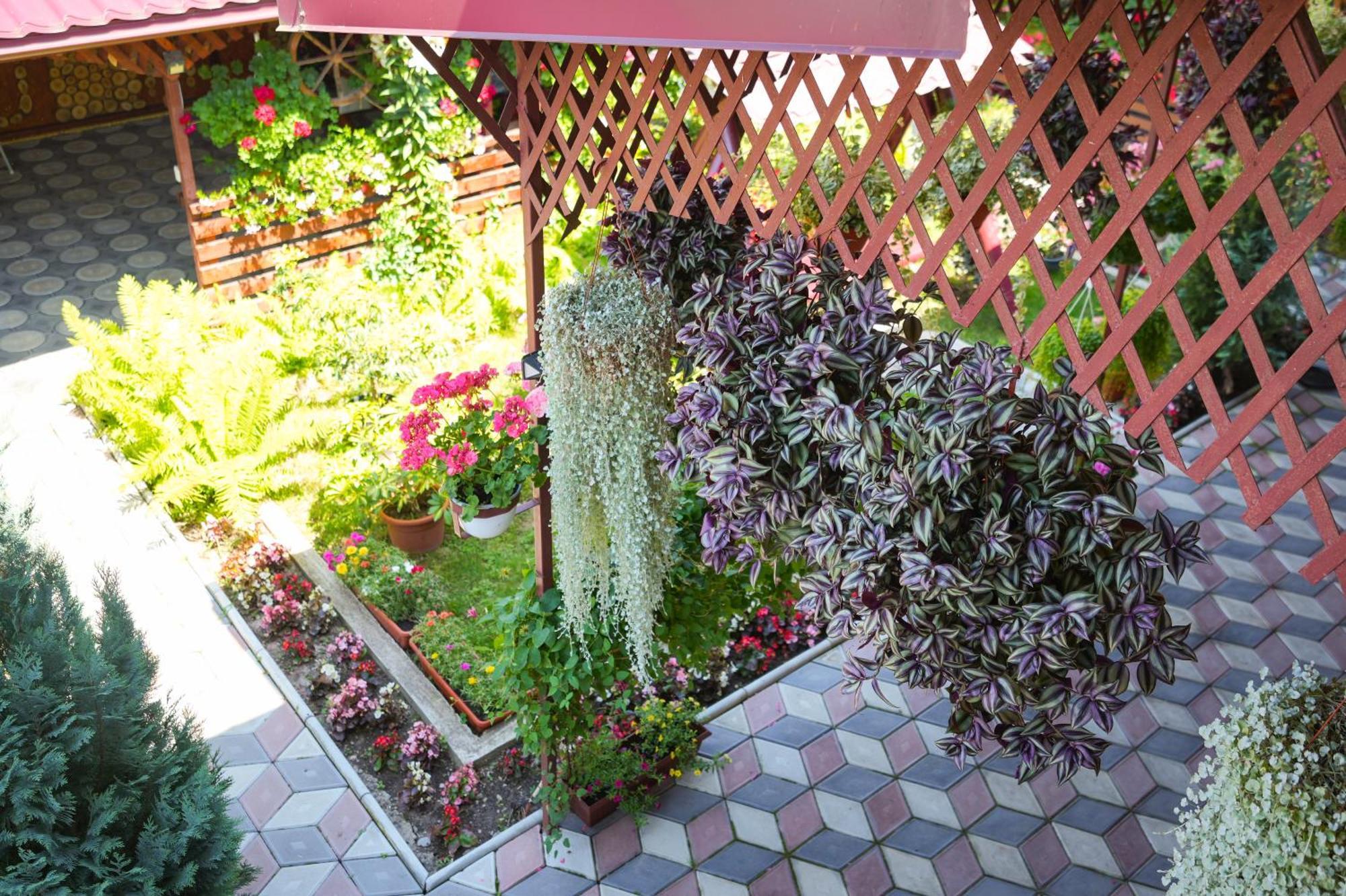 Casa Ion Apartment Horezu Exterior photo