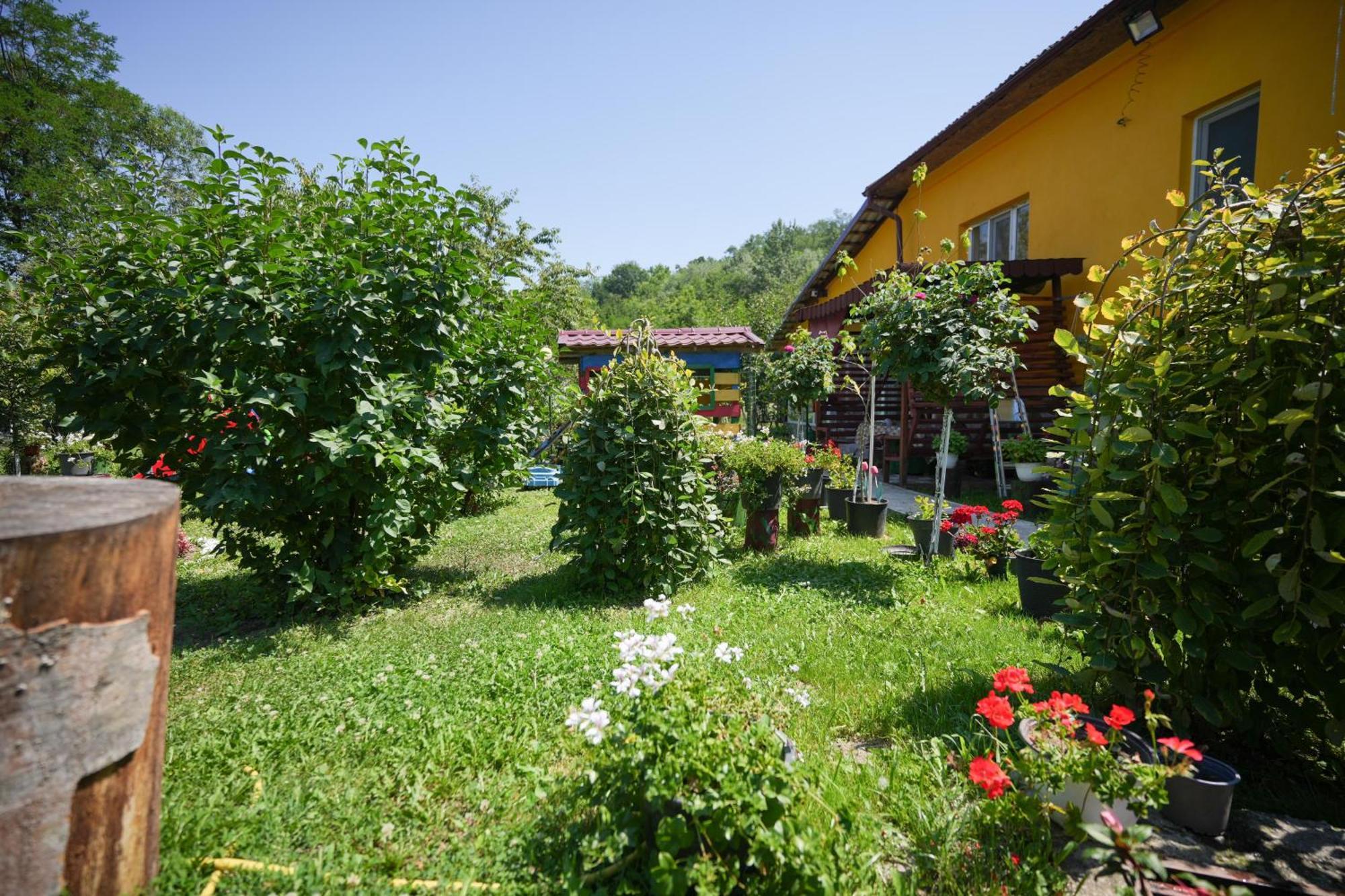 Casa Ion Apartment Horezu Exterior photo