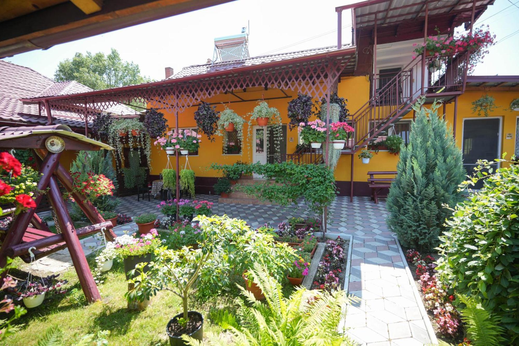 Casa Ion Apartment Horezu Exterior photo