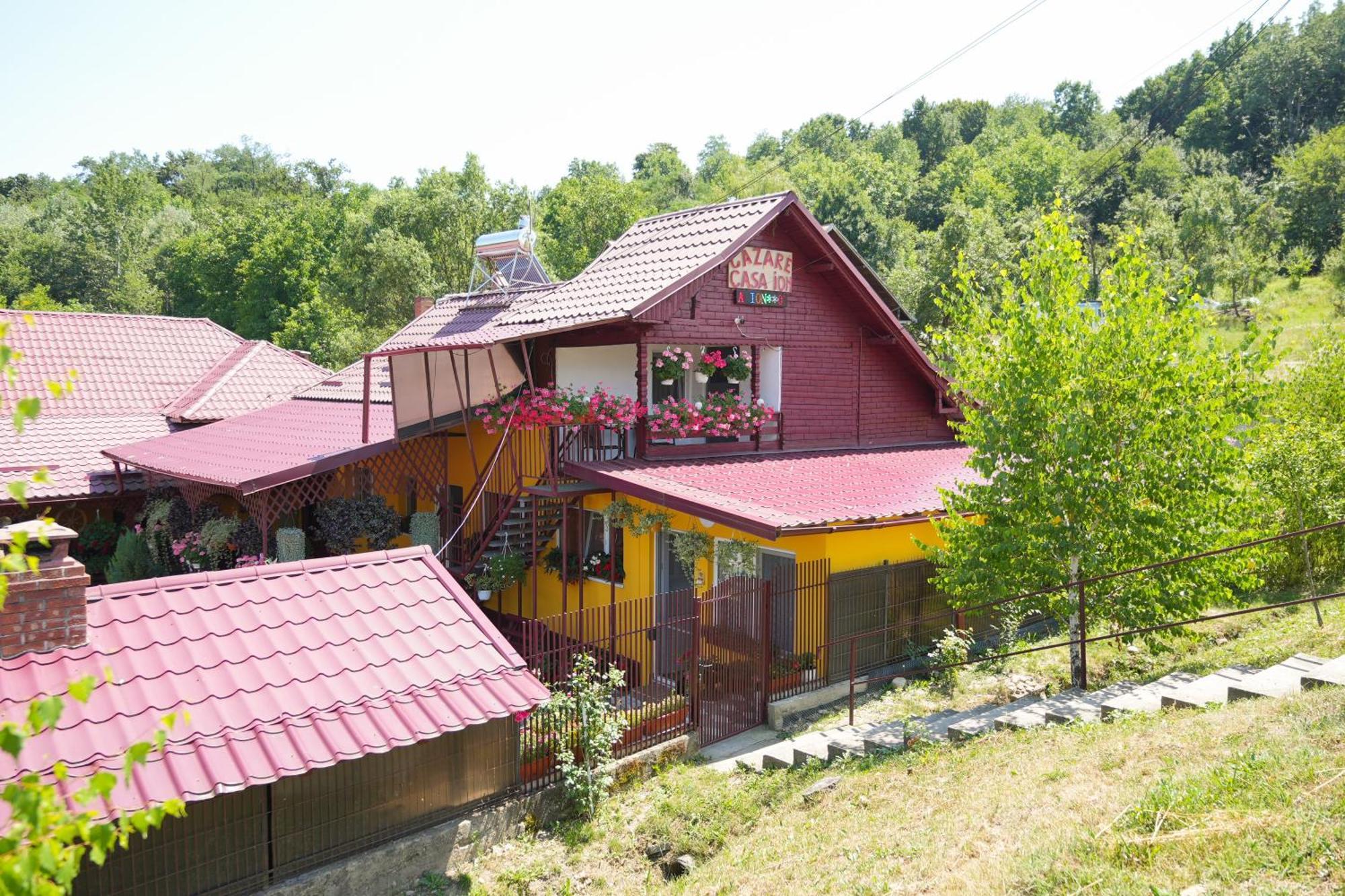 Casa Ion Apartment Horezu Exterior photo